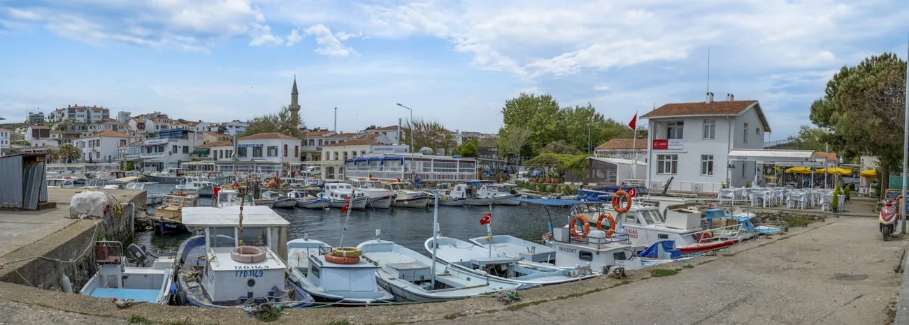 Fiskebåter i en liten havn med bygater og minaret bak i Çanakkale