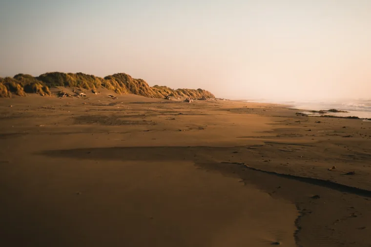 Sanddyner bak stranden